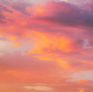 Meet your Posher, Keira